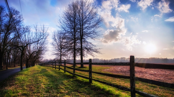 4K landscape with fence and trees in fall