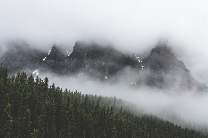 Misty mountains shrouded in clouds above a pine forest