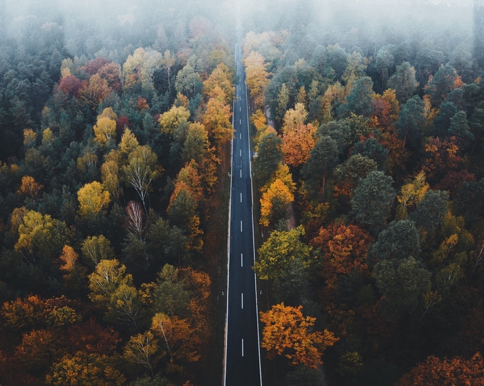 Aerial view of a road through an autumn forest
