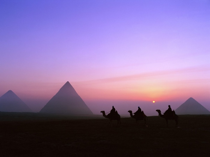 Camels and pyramids at sunset in Egypt