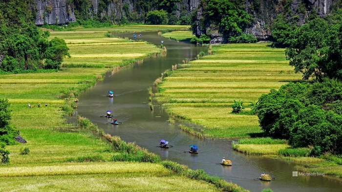 Boats on a river through rice fields in Vietnam