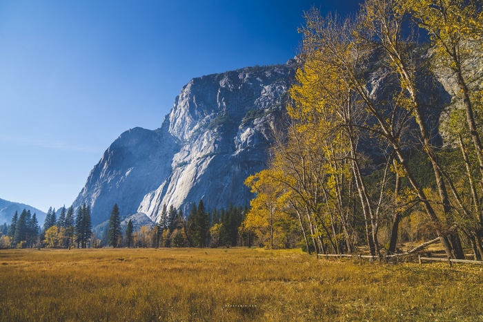 4K Yosemite National Park mountains in fall