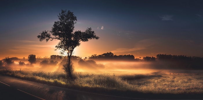 4K landscape with orange sky and mist