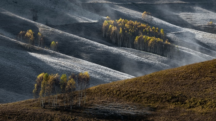 4K landscape of rolling hills with trees and mist