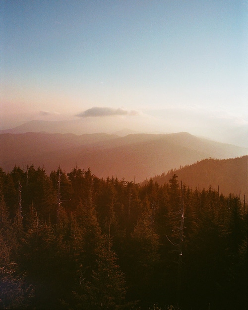 Forest and mountains at sunset