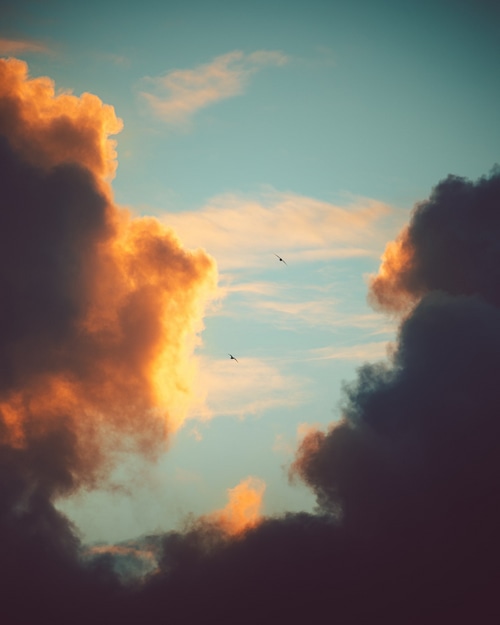 Two birds fly between dramatic sunset clouds