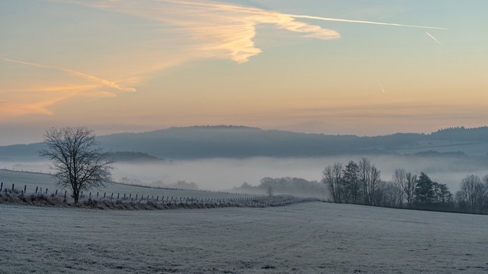 4K winter landscape with frost and orange sky