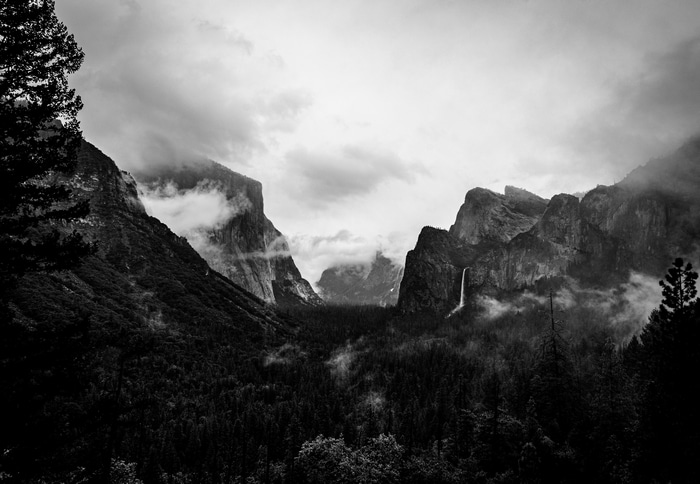 Monochrome landscape of Yosemite National Park with mountains and forest