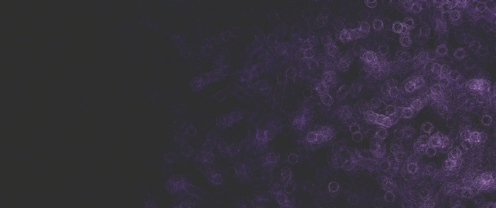 Abstract purple circles on a dark background