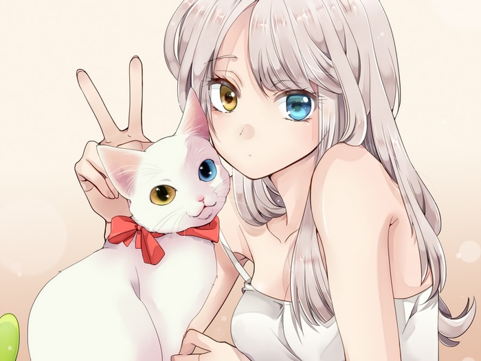 Anime girl with heterochromia and a cat