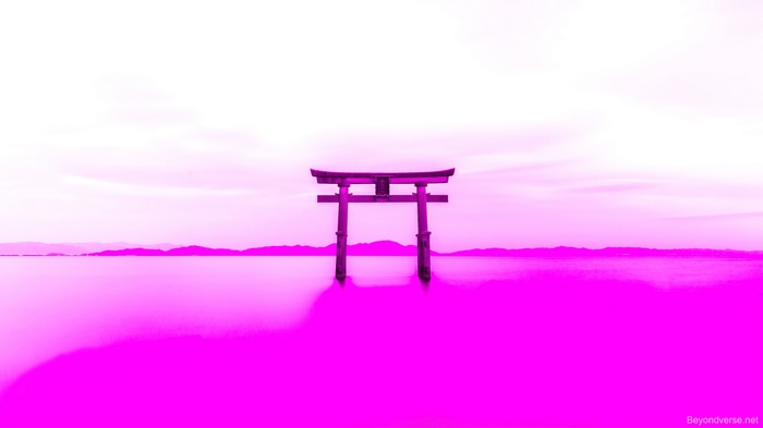 4K Japan Shinto Torii Gate in Pink Water