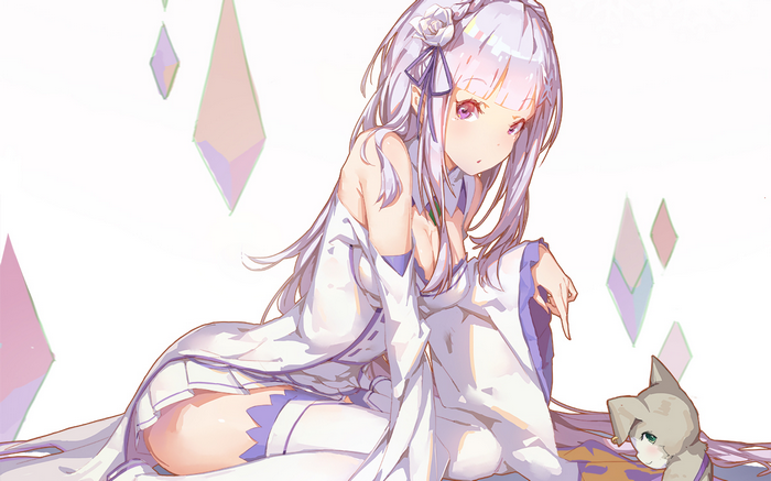 Emilia and Puck from Re:Zero