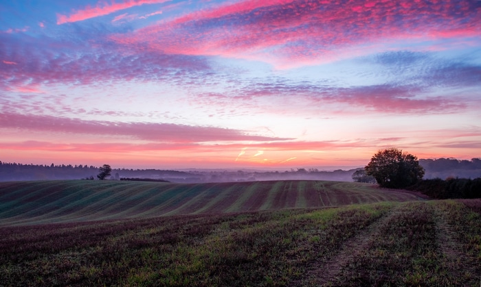 4K UK field at sunset with pink clouds