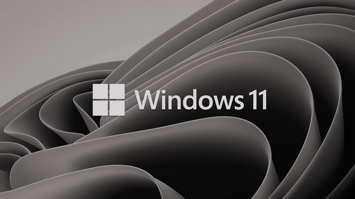 Windows 11 logo on abstract background