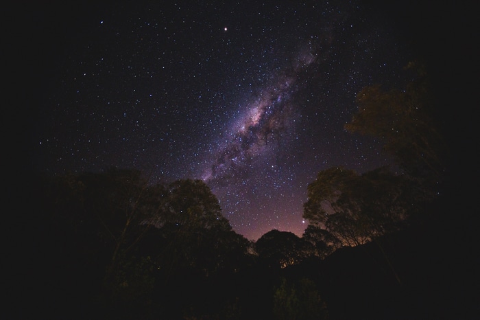 Milky Way galaxy over silhouetted trees at night
