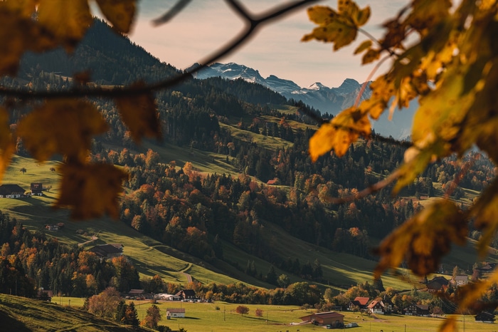 4K mountain view with fall foliage and snow-capped peaks
