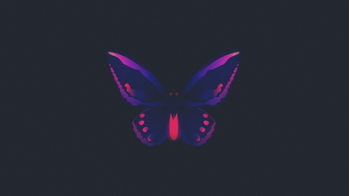 Minimalist dark gradient butterfly illustration