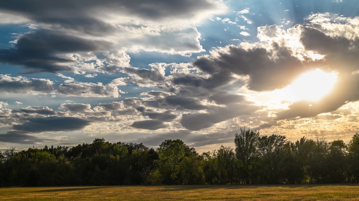 4K Landscape with Sunset Clouds Over Trees