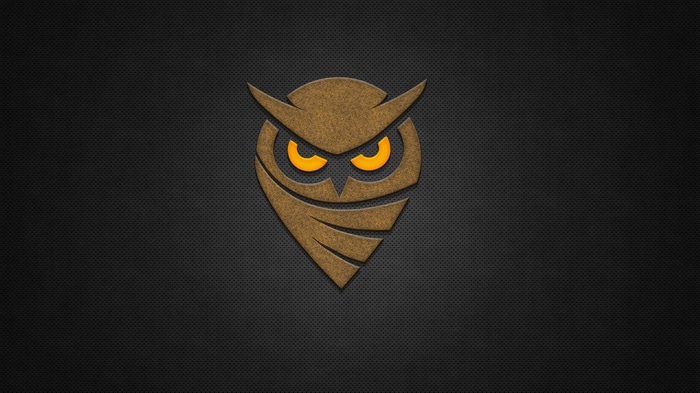 Brown owl logo on a dark textured background