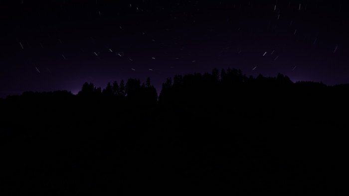 4K long exposure of stars over a forest