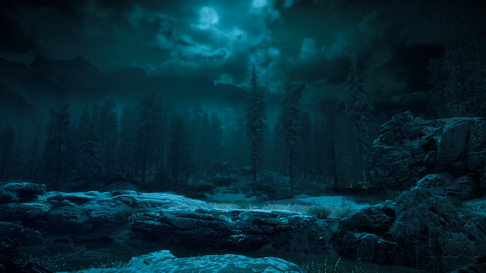 4K Horizon Zero Dawn Forest at Night