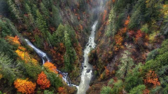 Waterfall and river flowing through a forest in autumn