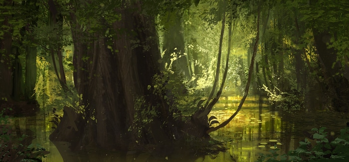 Swamp forest with sunlight filtering through trees