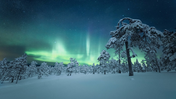 4K Aurora Borealis over snow-covered forest at night