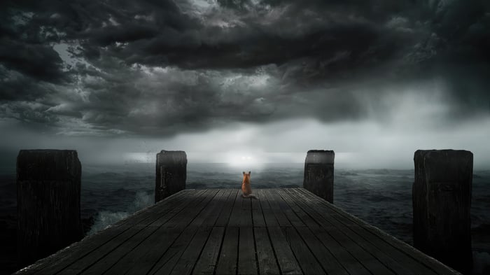 Fox on a pier during a storm
