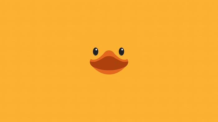 Minimalist Duck Face on Orange Background