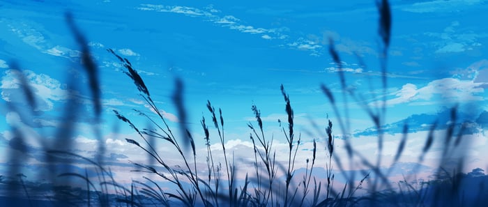 Anime field with tall grass and clouds