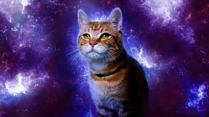 Goose the Cat in The Marvels