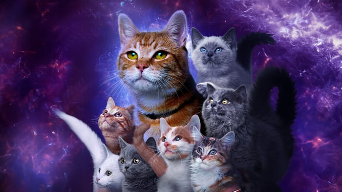 A Group of Cats in Space
