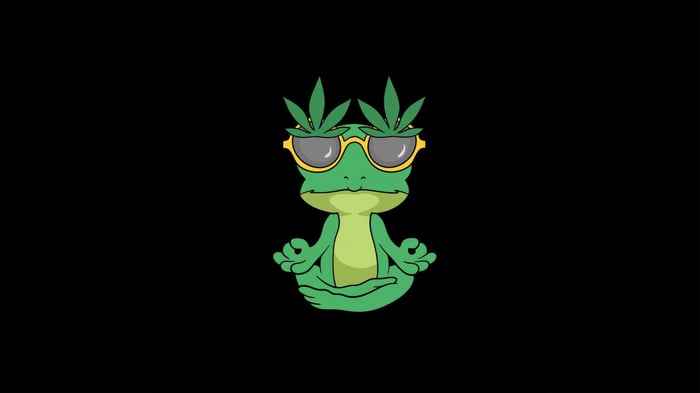 Green frog wearing sunglasses and marijuana leaves meditating