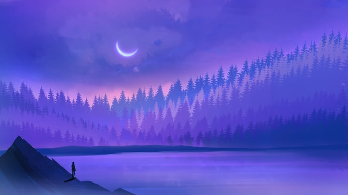 A lone figure stands on a mountain overlooking a forest under a crescent moon.