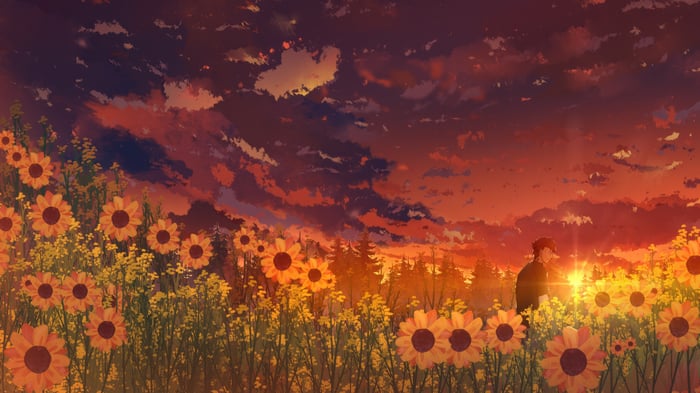 Anime boy in a sunflower field at sunset