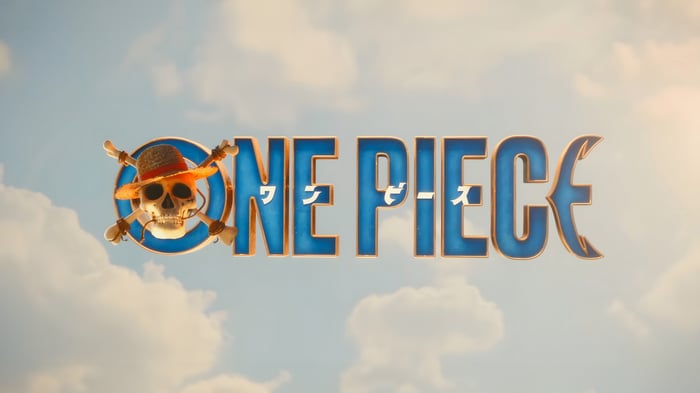 One Piece Logo with Skull and Crossbones