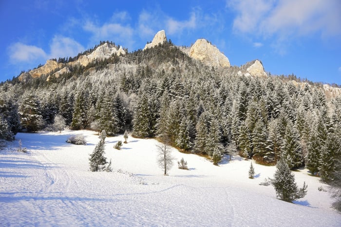 Snowy Pienin Mountains with Evergreen Forest