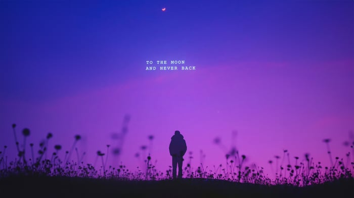 To The Moon And Never Back