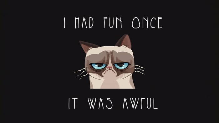 Grumpy Cat "I Had Fun Once It Was Awful" Quote