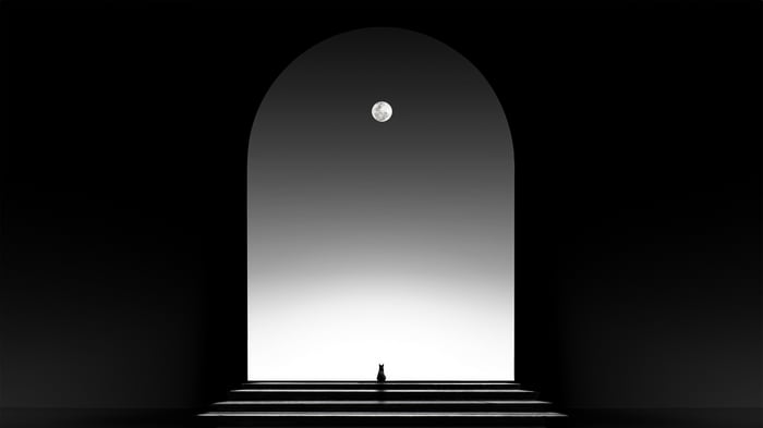 Cat watching the moon through an archway