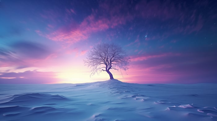 A solitary snow-covered tree on a snowy hill under a colorful sky