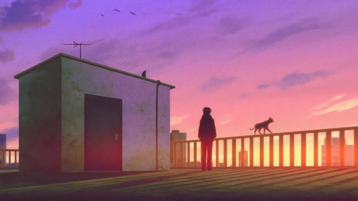 Rooftop at Sunset with Person and Cat