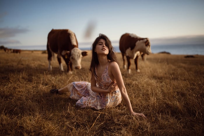 Girl in a field with cows