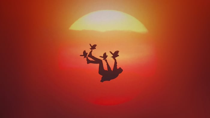 Silhouette of a person falling with birds against a sunset