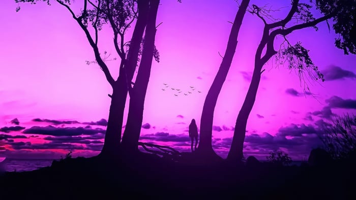 Silhouette of a person standing by trees at sunset