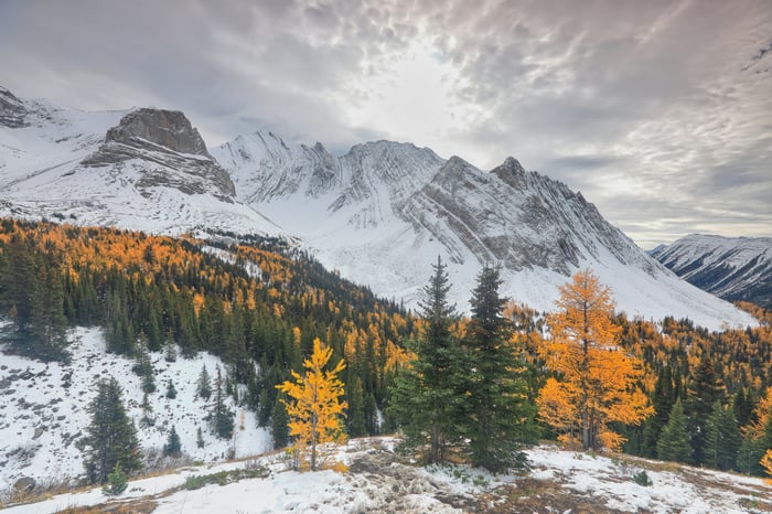 Snowy Mountains with Autumn Larches