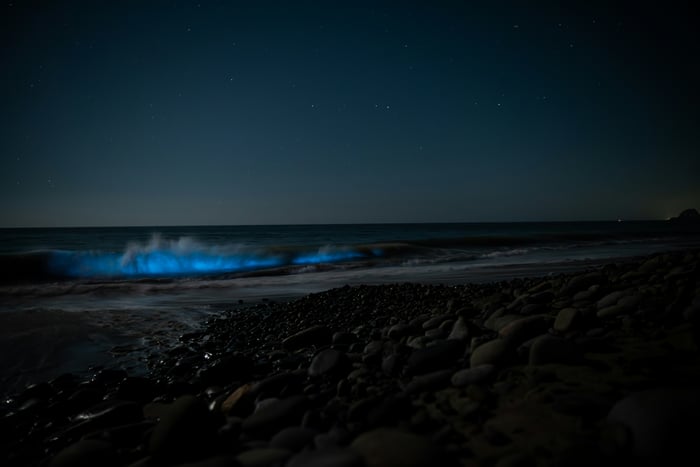 Bioluminescent Waves Crash on a Pebble Beach at Night