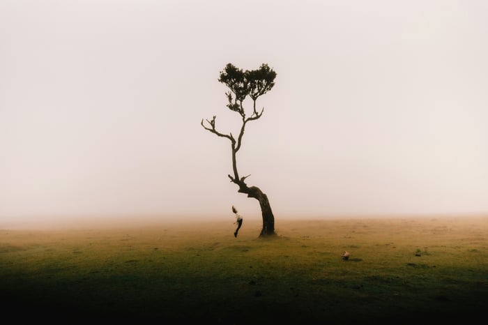 A person jumps near a lone tree in the fog