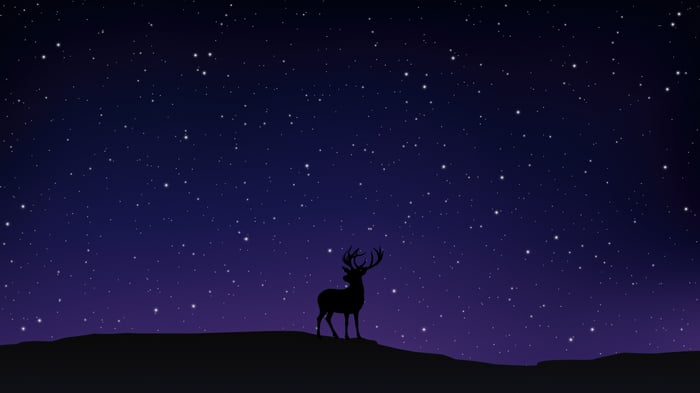 Silhouette of a reindeer under a starry night sky